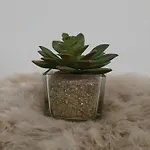 New Mitte Free Snack Hot Tea And Coffee *