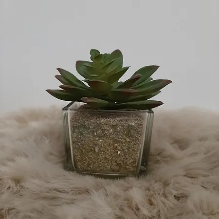 New Mitte Free Snack Hot Tea And Coffee *