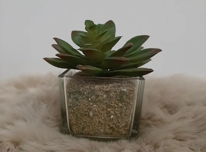 New Mitte Free Snack Hot Tea And Coffee *